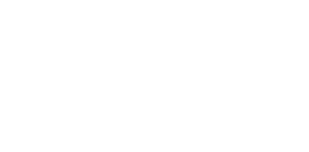 EViS